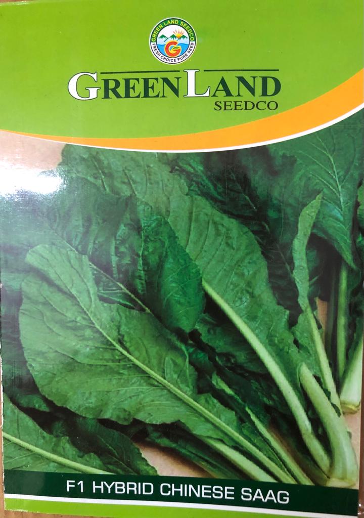 greenlandseedco